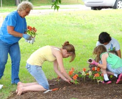 gardening