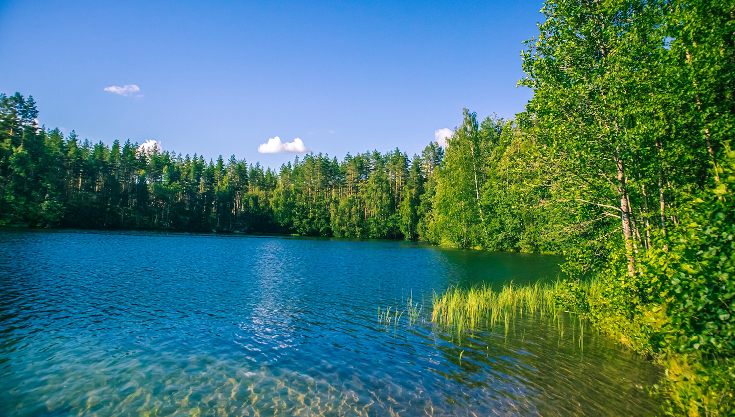 photo of a small lake surrounded by green trees and blue sky over head