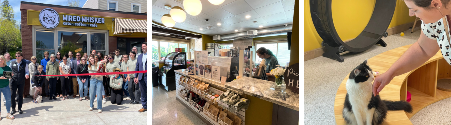 a series of three photos in the first a crown of people stands outside the a small brick building with yellow trim and a big wired whisker cats coffee cafe sign. misha smith is in the center cutting a red ribbon. the center photo shows the open concept cafe area with an order counter and selection of snacks. the last photo is a close up of a black and white cat being petted by amanda in the enclosed cat lounge room.